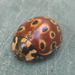 Interesting Ladybug pattern